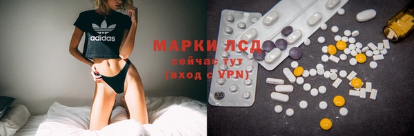 индика Лихославль