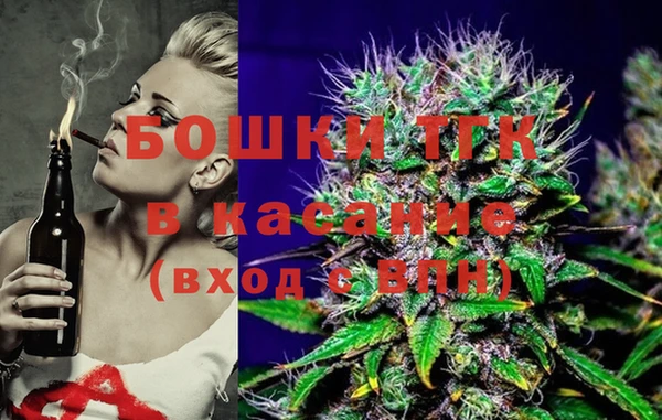 индика Лихославль