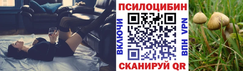 blacksprut онион  Мамадыш  мориарти клад  Галлюциногенные грибы ЛСД 